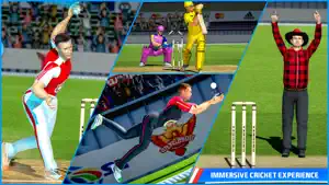 Indian Cricket Stars: T20 Game screenshot 3