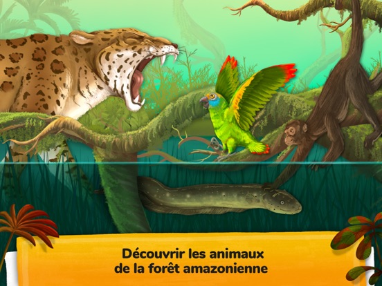 Screenshot #4 pour Comment sont les animaux ?