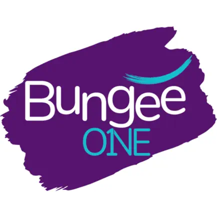 BungeeOne Studio Читы