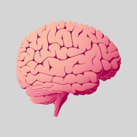Curious.ai Learning Assistant