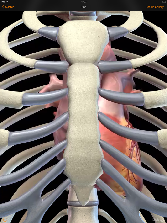 CardioSmart Heart Explorer