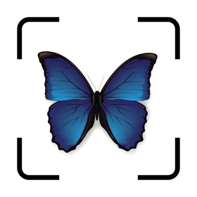 螢幕擷取畫面 (4) Bug IdentifierーIdentify Insect