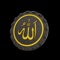 Icon Qibla Ultra