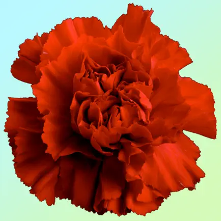 Ohio Wildflowers Cheats