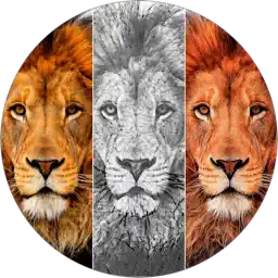 Sketch n Cartoonize app icon