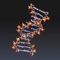 Molecules is an application for viewing three-dimensional renderings of molecules and manipulating them using your fingers