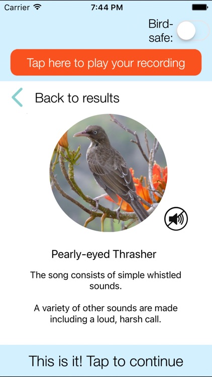 ChirpOMatic Caribbean screenshot-3