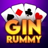 Gin Rummy Elite - Joker Gin icon