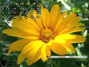 only for women - calendar w ipad resimleri 2