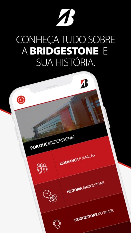 Bridgestone Revendas