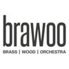 BRAWOO – Brass Wood Orchestra - DVO Druck und Verlag Obermayer GmbH