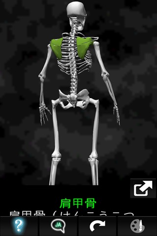 3D人骨（解剖学）のおすすめ画像4