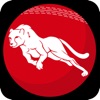 777 Cricket Live Line icon