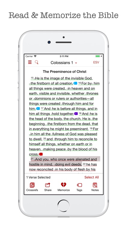 The Bible Memory App