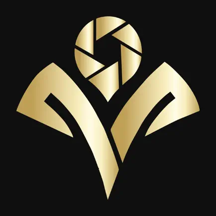 Vidoca Meeting Читы