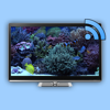 Aquarium on TV for Chromecast - Namita Kaushik