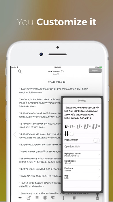 Holy Bible In Amharic Screenshot