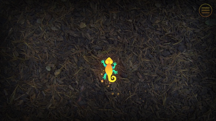 Jolly Dog: Game For Pets