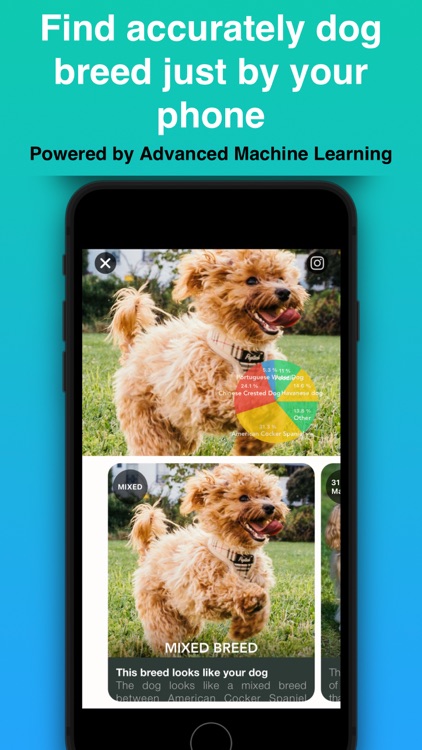 Dog Identifier - Puppy Scanner screenshot-0
