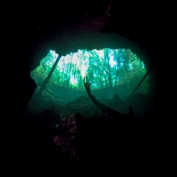 Diver Tools