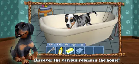 Dog World Premium - My Puppy