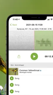 merlin bird id by cornell lab iphone screenshot 3