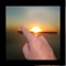 Blur any of your photos and simply wipe your finger across to erase the blur, making items in the foreground clear