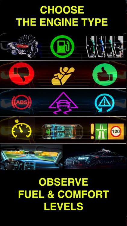 Dr. Falcon Driving Safety screenshot-5