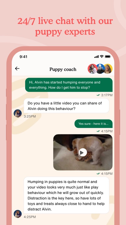 Zigzag Puppy Training App screenshot-4