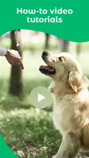 dogo - dog training & clicker iphone screenshot 4