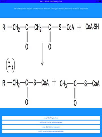 Beta Oxidation Pathway Tutorのおすすめ画像2