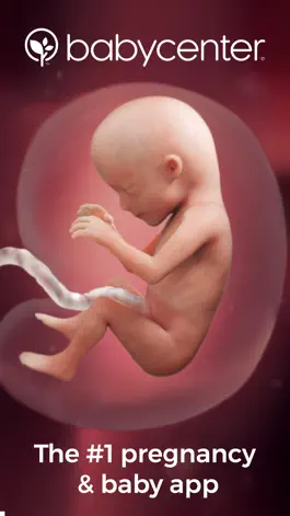 Game screenshot Pregnancy Tracker - BabyCenter mod apk