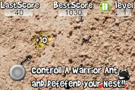 Game screenshot Squish these Ants hack