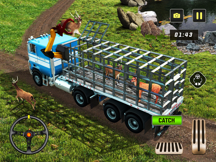 Wild Animals Chase and Catch 3D