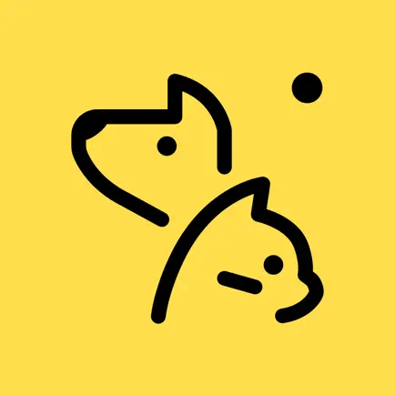 TTcare: AI for Pet Healthcare Cheats
