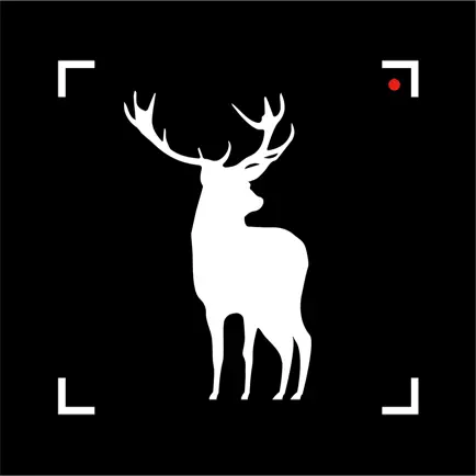 Hunting Camera Читы
