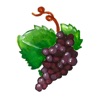 Wein des Tages icon