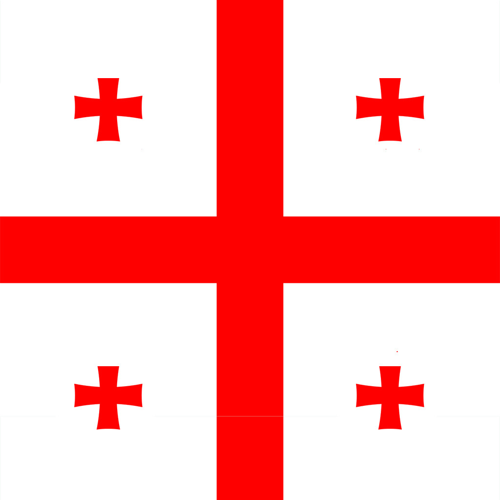 Get Georgian/English Dictionary for iOS, iPhone, iPad Aso Report