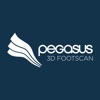 Pegasus3DFootScan