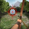 Archery Big Match icon