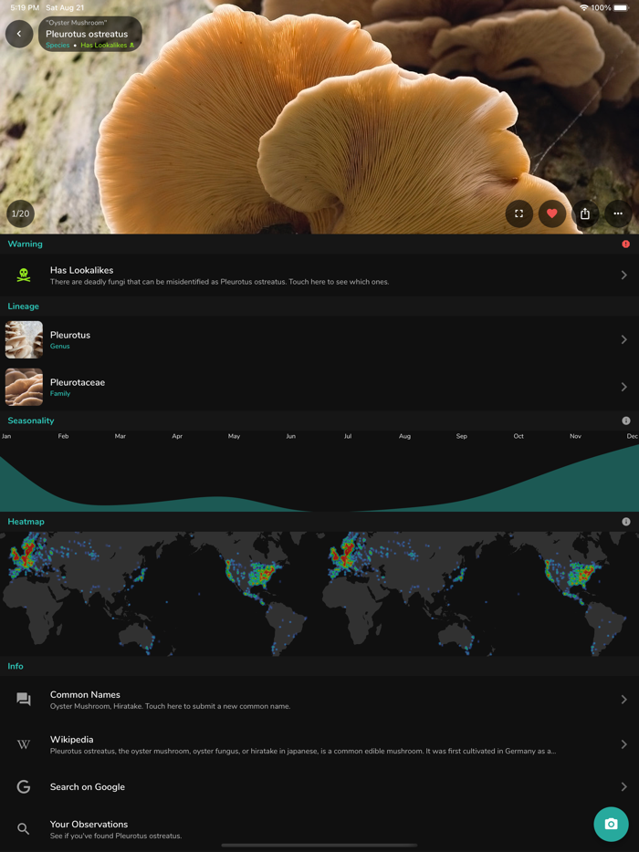 Mushroom Identifier - ShroomID