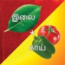 Get Kandupidi tamil game pic2word for iOS, iPhone, iPad Aso Report