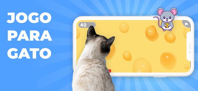 Cat Condo é o jogo para os amantes de gatinhos - Apps - SAPO Tek