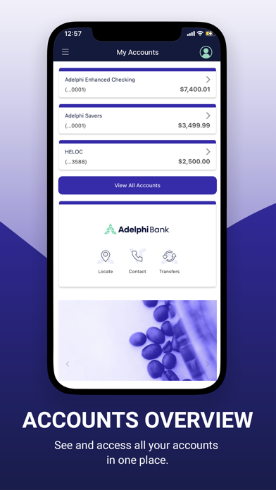 Adelphi Bank Screenshot