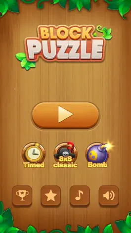 Game screenshot Block Puzzle Wood: Pirate 2020 mod apk