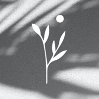 Christ Culture Church CLE