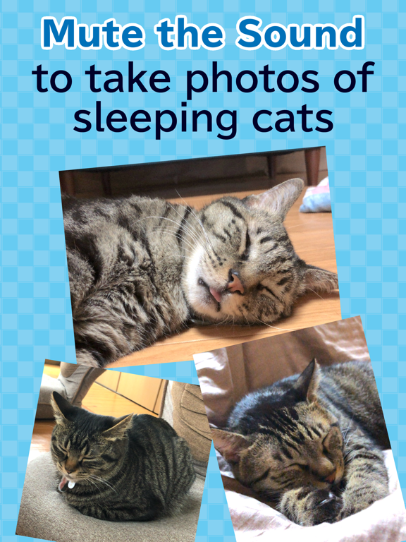 toruneko (KittyCam) iPad screenshot 4 - Photo & Video app