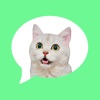 Message Stickers: cat emoticon icon