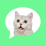 Download Message Stickers: cat emoticon app