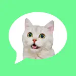 Message Stickers: cat emoticon App Contact